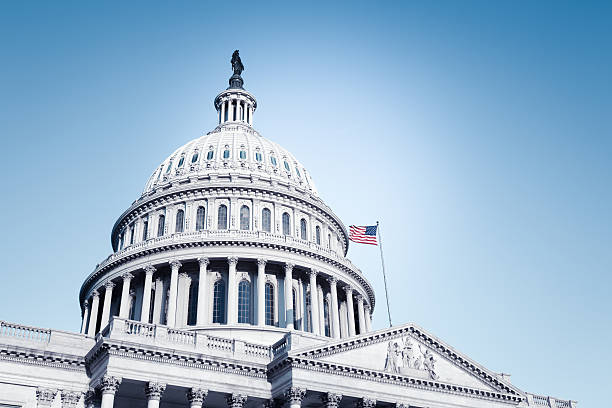 Flip Congress Blue